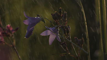 Similar image 22469847