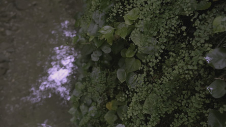 Similar image 22469910