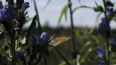 Similar image 22405165