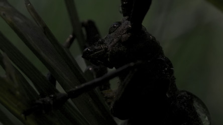 Similar image 22405191