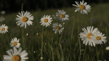 Similar image 22405222