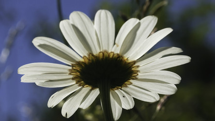 Similar image 22405283