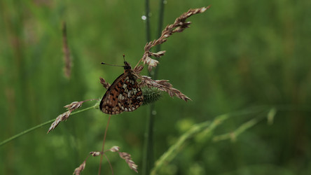 Similar image 22405296