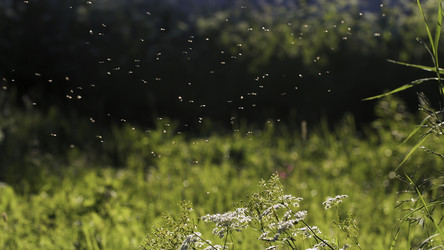 Similar image 22405297