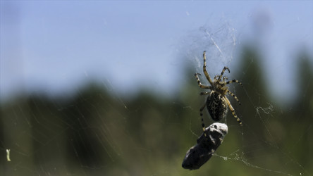 Similar image 22405326