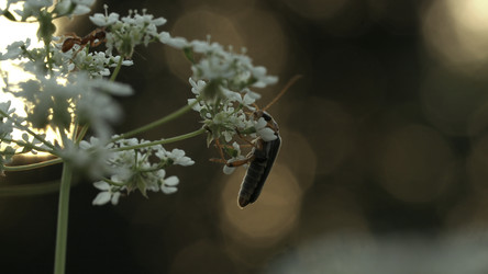 Similar image 22405327