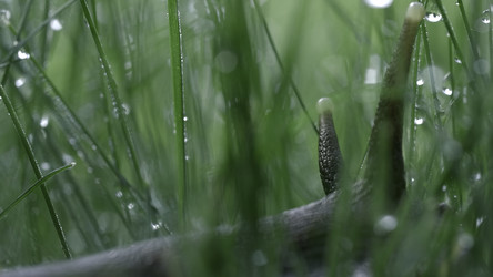 Similar image 22405345