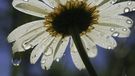 Similar image 22405432