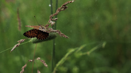 Similar image 22405433