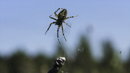 Similar image 22405450