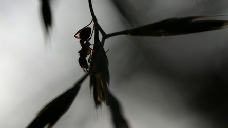 Similar image 22405462