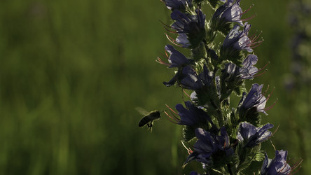 Similar image 22405477