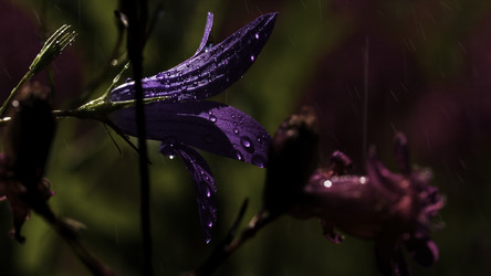 Similar image 22405478