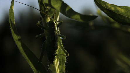 Similar image 22405774