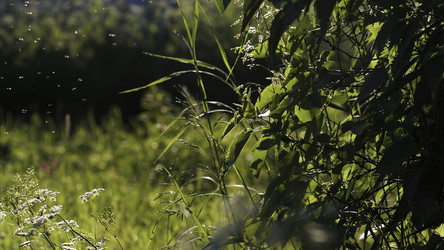 Similar image 22405806