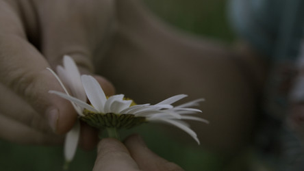 Similar image 22405866