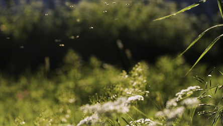 Similar image 22405880