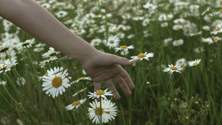 Similar image 22405895