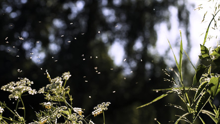 Similar image 22405896