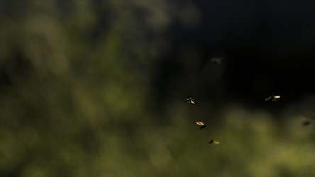 Similar image 22405938