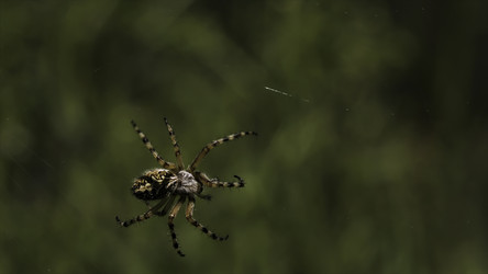 Similar image 22406000