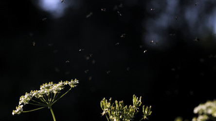 Similar image 22406085