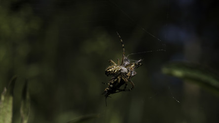 Similar image 22406103