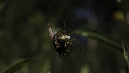 Similar image 22406165