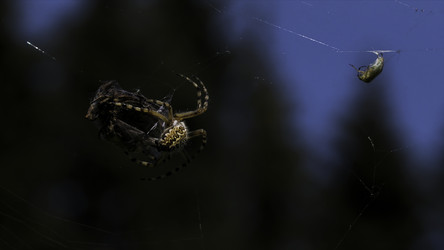 Similar image 22406192