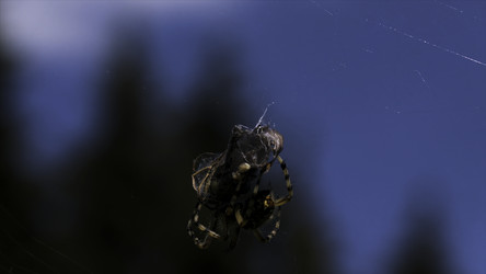 Similar image 22406193