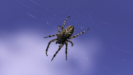 Similar image 22406224