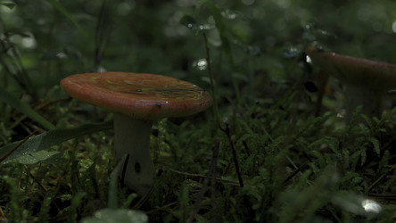 Similar image 22406238