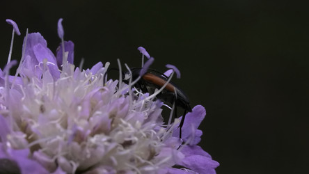 Similar image 22406267