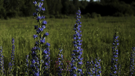 Similar image 22406284