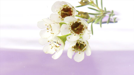 Similar image 22406404