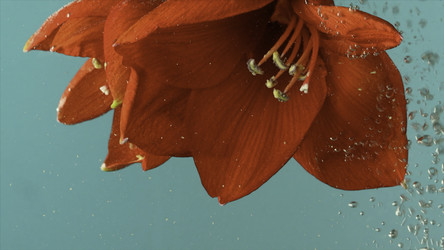 Similar image 22406419