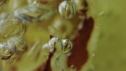 Similar image 22406569