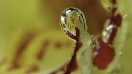 Similar image 22406584