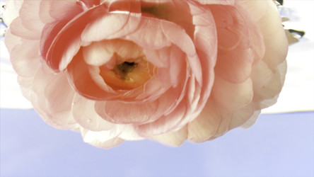 Similar image 22406644