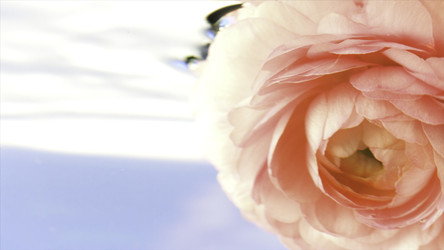 Similar image 22406674