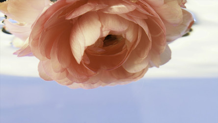 Similar image 22406675