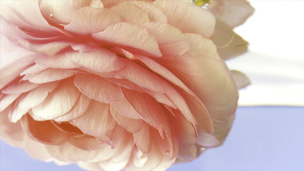 Similar image 22406688