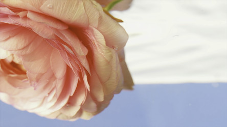 Similar image 22406701