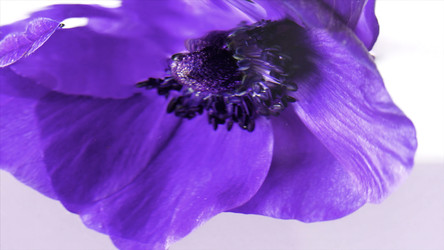 Similar image 22406719