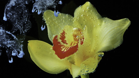 Similar image 22406793