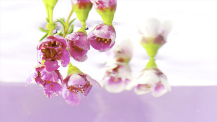 Similar image 22406809