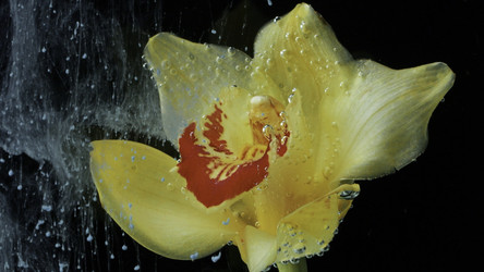 Similar image 22406823