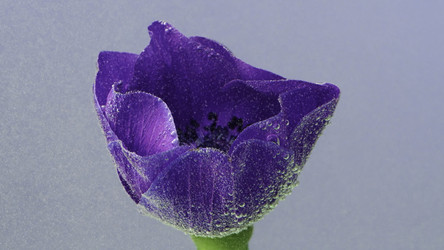 Similar image 22406854