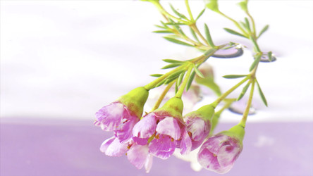 Similar image 22406929