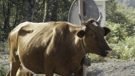 Similar image 22406944